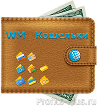 Как создать электронный кошелек в WebMoney
