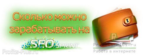 Сколько можно зарабатывать на SeoSprint